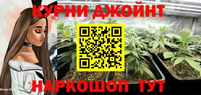 СК Рязань