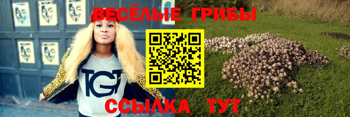 Псилоцибиновые грибы мухоморы  закладка  Сорочинск  Вход с VPN 